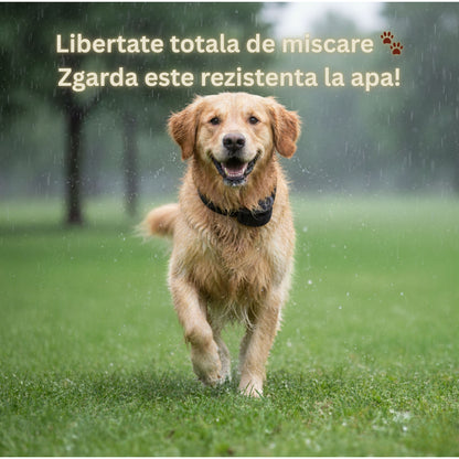 Zgarda Anti-latrat Automata, Ajustabila, Sunet, Impulsuri pe 7 nivele, Rezistenta la Apa, Praf, Zapada, Negru — LD-261 galerie 9