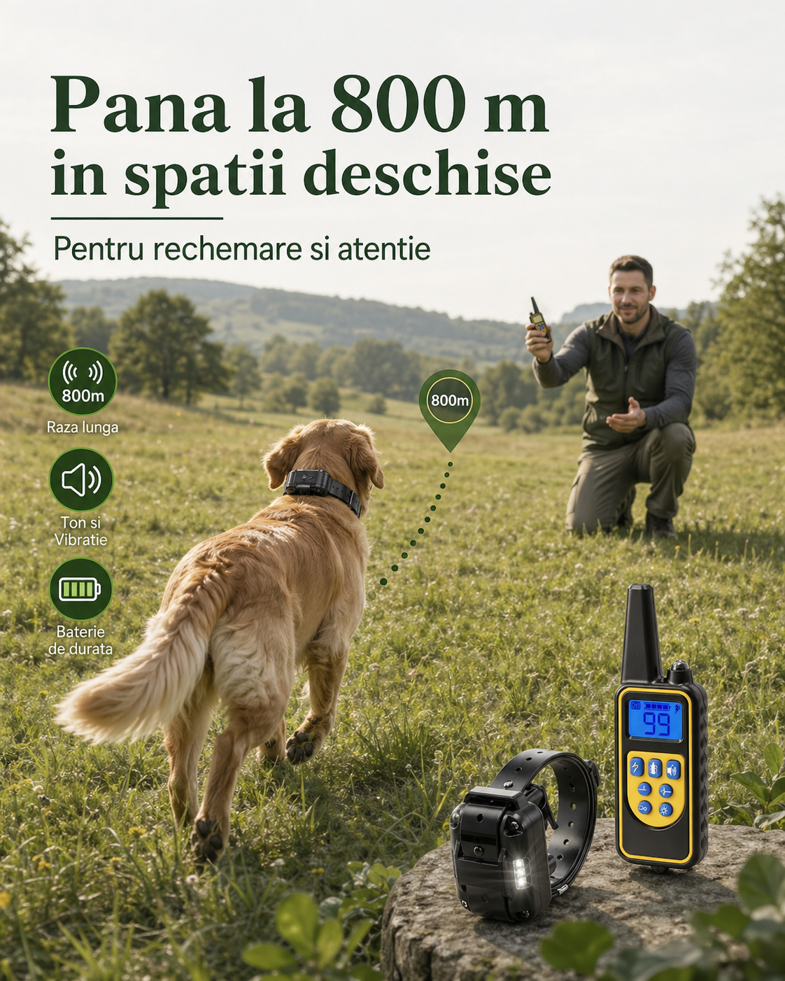 Zgarda dresaj caini pentru rechemare si comenzi la distanta
